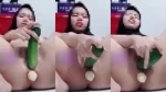 Cewek Jilbab Masturbasi Colok Semua Lubang